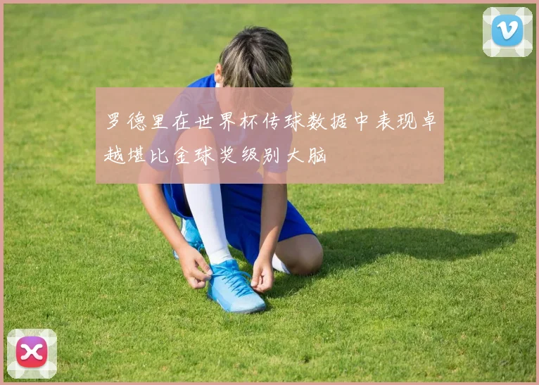 罗德里在世界杯传球数据中表现卓越堪比金球奖级别大脑